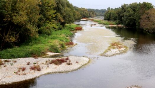 Der Traisentaler Weinbergradweg