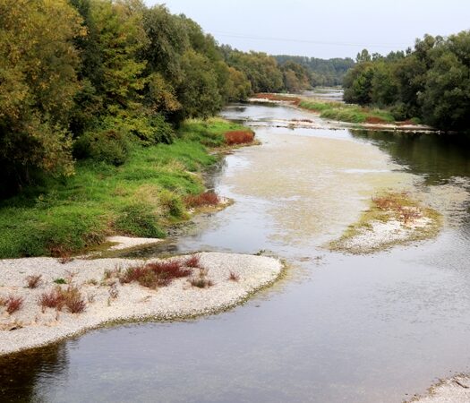 Blick auf die Traisen