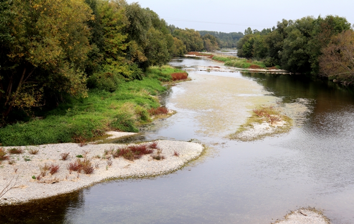 Blick auf die Traisen